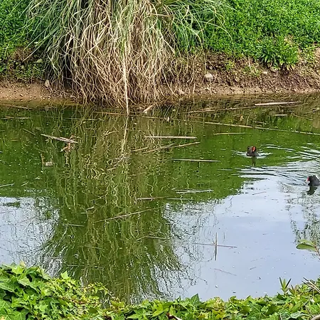 Фермерский дом Capayrou - La Plume