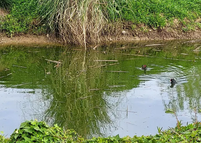 Farm stay Capayrou - La Plume